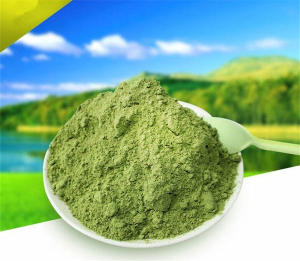 100g Healthy Drink 100% Pure Natural Organic Wheat Seedling Grass Extract Powder