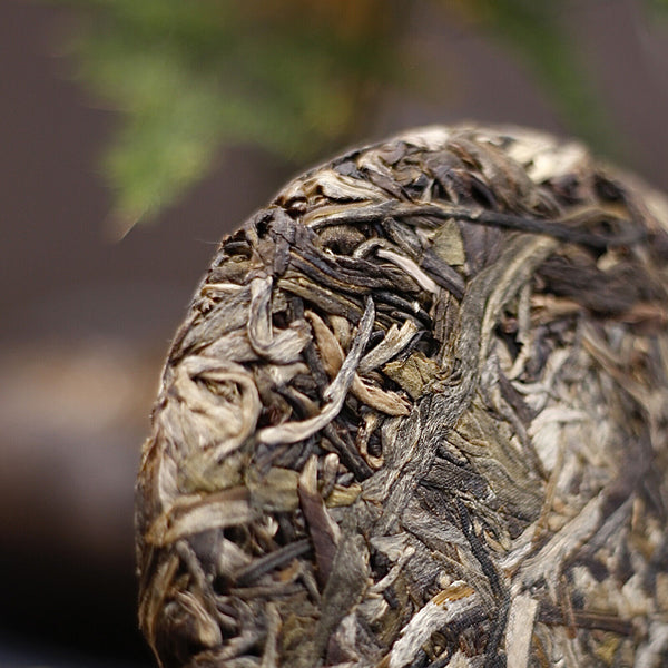 HelloYoung Yibang Mansong Pu-erh Raw Tea Cake Yiwu Seven Seeds Pu-erh Tea Cake 100g/3.52oz