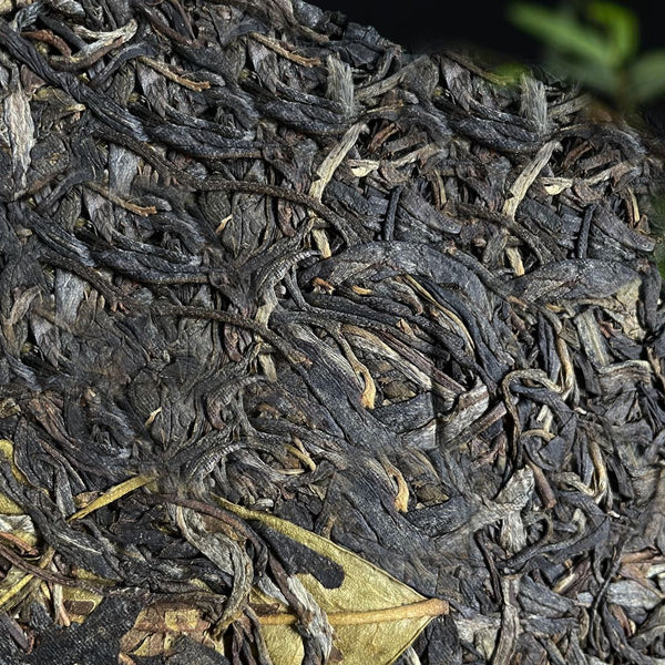 HelloYoung Yunnan Icelandic Lincang Ancient  Seven Seeds Cake Pu'er Raw Tea 357g/12.59oz