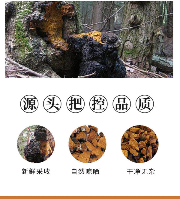 Premium Chaga Mushroom Tea Natural Unsulphured Health Drink for Wellness
