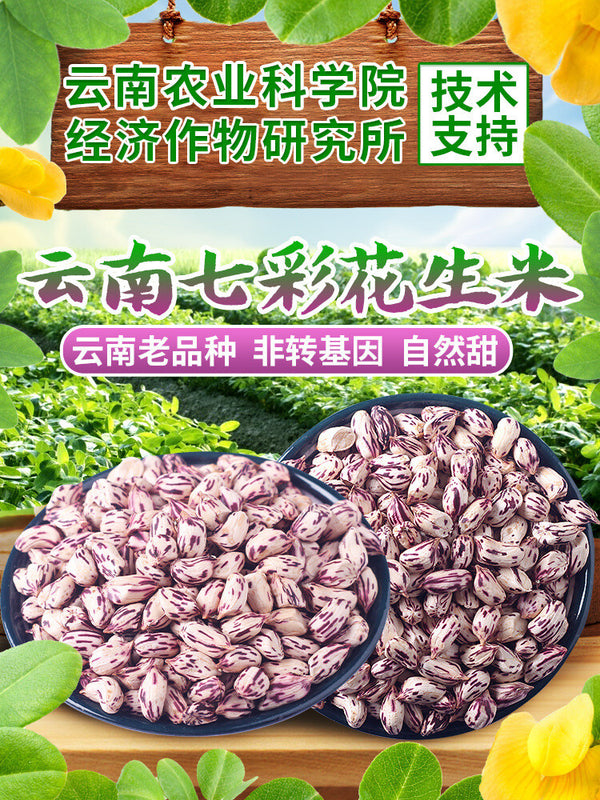 Yunnan Colorful Shelled Peanuts - Fresh Dried Snack