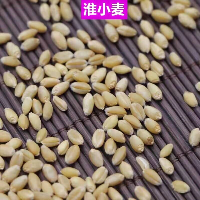 HelloYoung Floating WheatWhite Products Agricultural ProductsChinese Medicinal Herbs 500g