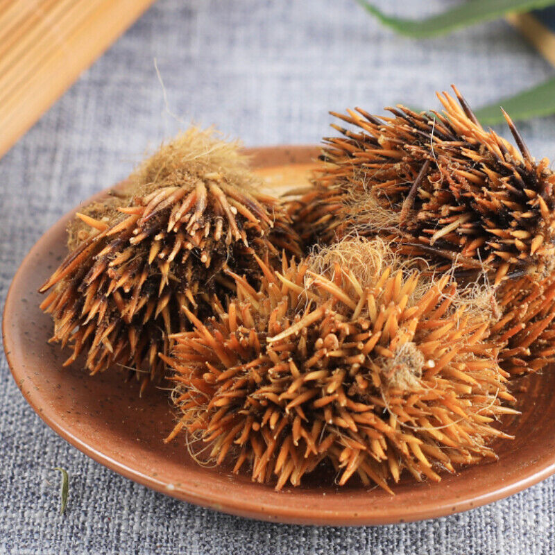HelloYoung 50g 100% Chinese Herbal Tea正品刺猬皮 High Quality Authentic Hedgehog Skin Ciweipi Secondary image