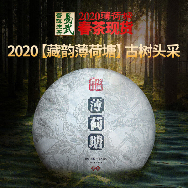 Pu'er Raw Tea Natural Pu'er Tea Pu'er Raw Tea Mint Pond 357g