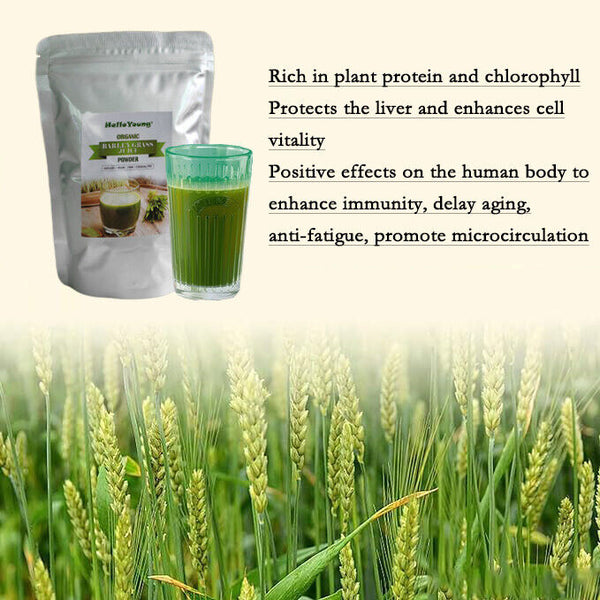 250g Gerstengraspulver 100% rein & biologisch natürliches Gras Gewichtsverlust