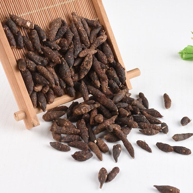 Dried Nut Grass Nutgrass Rhizoma Cyperi Rhizome Rhizoma Cyperi Xiang Fu Zi 500g