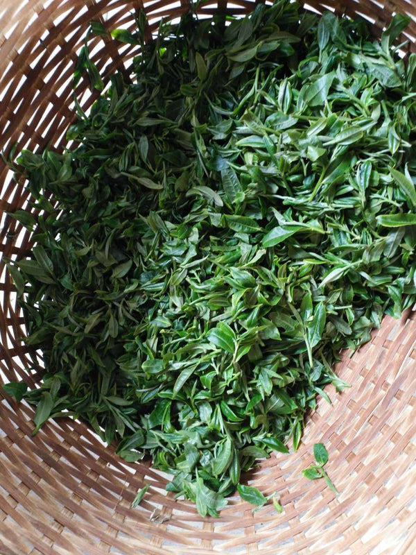 Icelandic Ancient Tree Pu'er Ripe Tea Cake 357g Yunnan Pu'er Tea