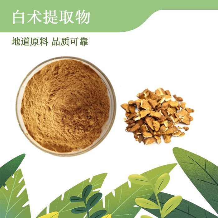 Bai Zhu Extract 10:1 Concentrate | Atractylodes Rhizome Vegan Herbal Tea Secondary image