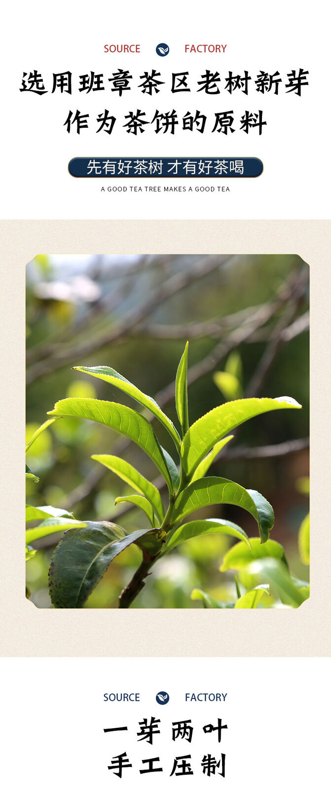 HelloYoung 357g Ancient Tree Raw Tea Cake Yunnan Puerh Tea Leaves Menghai Raw Tea Cake