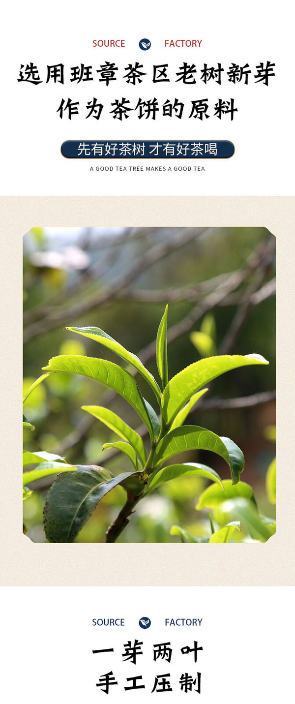 HelloYoung 357g Ancient Tree Raw Tea Cake Yunnan Puerh Tea Leaves Menghai Raw Tea Cake
