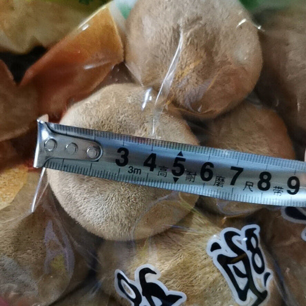 250g/8.8oz Hericium Erinsceus Mushroom Premium Lions Mane Mushroom  Dried Goods