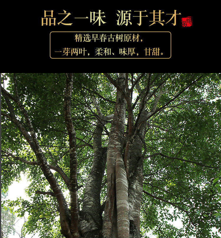 HelloYoung 300g Yunnan Pu'er Tea Iceland Gold Bar Old Tree Raw Tea Tea Leaf Raw Pu