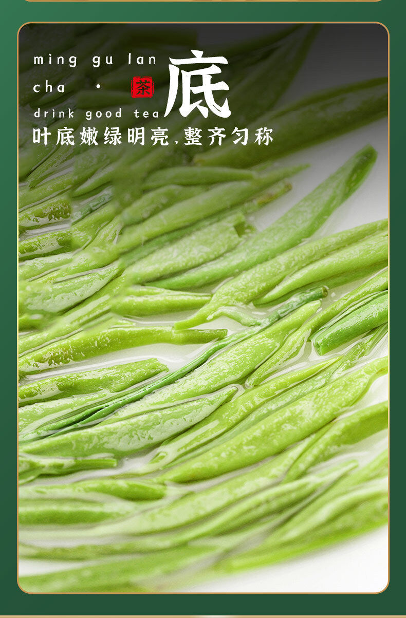 Minggulan Yunwu Maojian Tea Green Tea Spring Good Tea Stir-fried Young Buds 76g