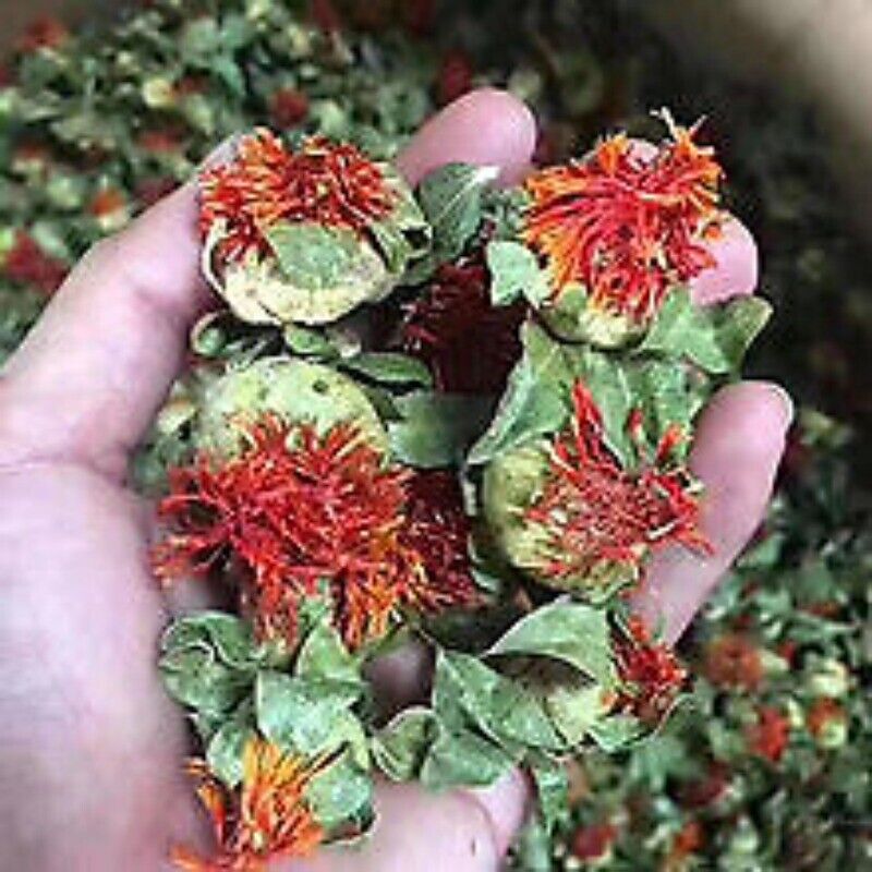 HelloYoung Saffron Fruit Saffron Tibetan Saffron Fruit Western Saffron 500/1.1lb