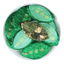 Natural Organic Tea Small Cookie Tea 500g/1.1LB High Quality Jasmine White Tea