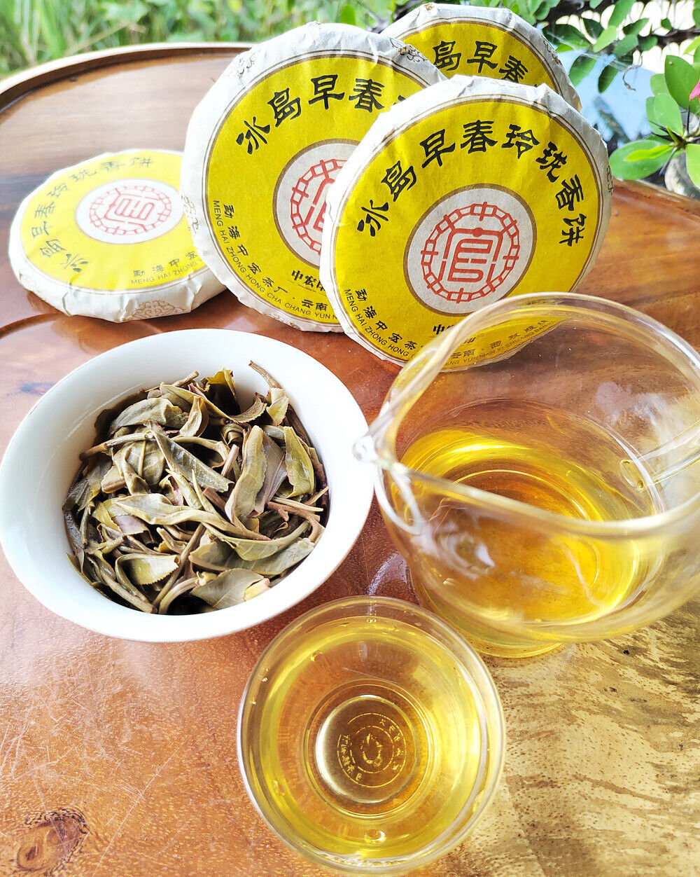 HelloYoung 100g Icelandic Pu'er Tea, Yunnan Mengku Old Tree Cake Spring Pu'er Tea