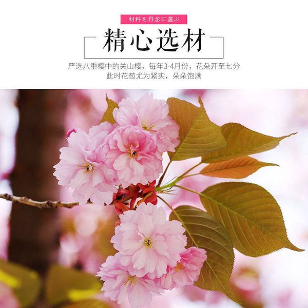 50g Japanese Traditional Salted Sakura Cha Cherry Blossoms Preserved Flower Tea
