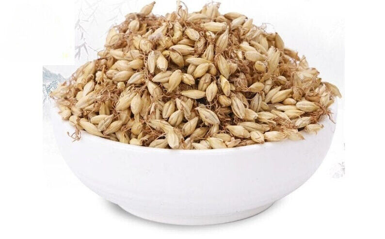 Mai Ya/麦芽/Premium/Malt/Fructus Hordei Germinatus Malt Main image