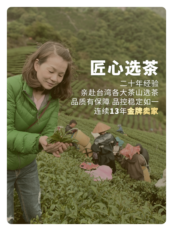 High Mountain Longfengxia Cold Tea Premium Shanlinxi Oolong Tea Taiwan