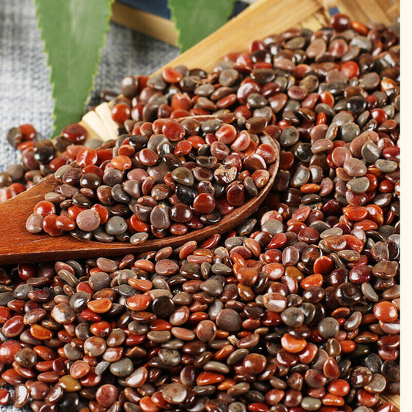 HelloYoung Chinese Specialty Zhijuzi Chinese Organic Herbs High Quality 250g/500g 枳椇子