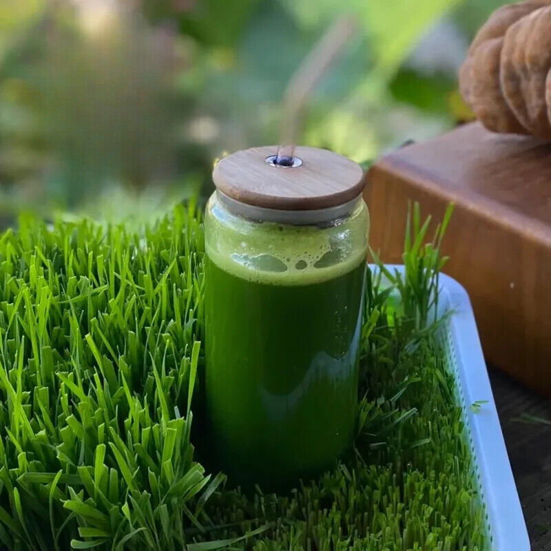 Organic Barley Grass 250g Natural Alkaline Superfood BarleyGrass Main image