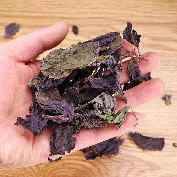 HelloYoung Perilla Leaf Herbal Medicine Perilla Leaf Perilla Leaf Perilla 500g/1.1lb