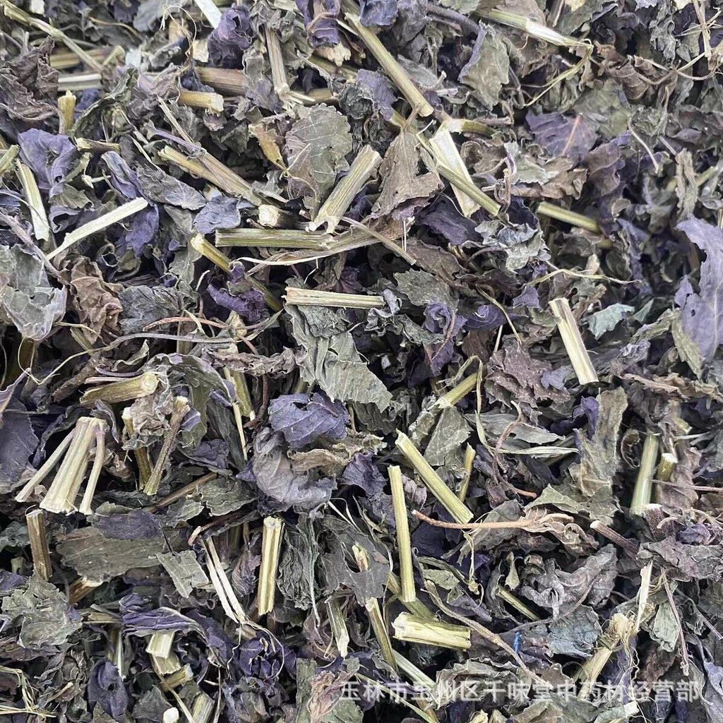 Wild Authentic Perilla Leaf Stalks Natural Freshsulfur-free Perilla Leaves