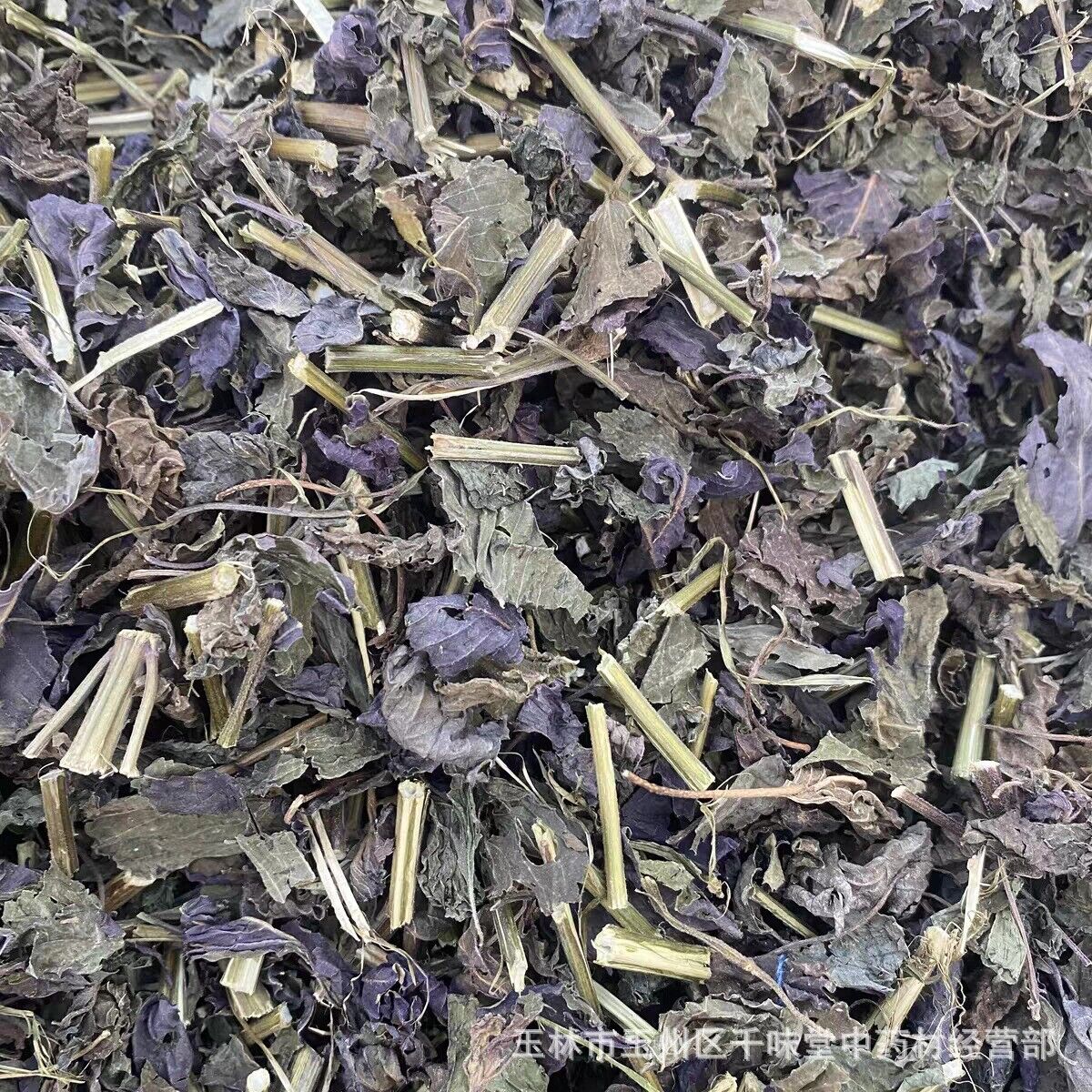 Wild Authentic Perilla Leaf Stalks Natural Freshsulfur-free Perilla Leaves
