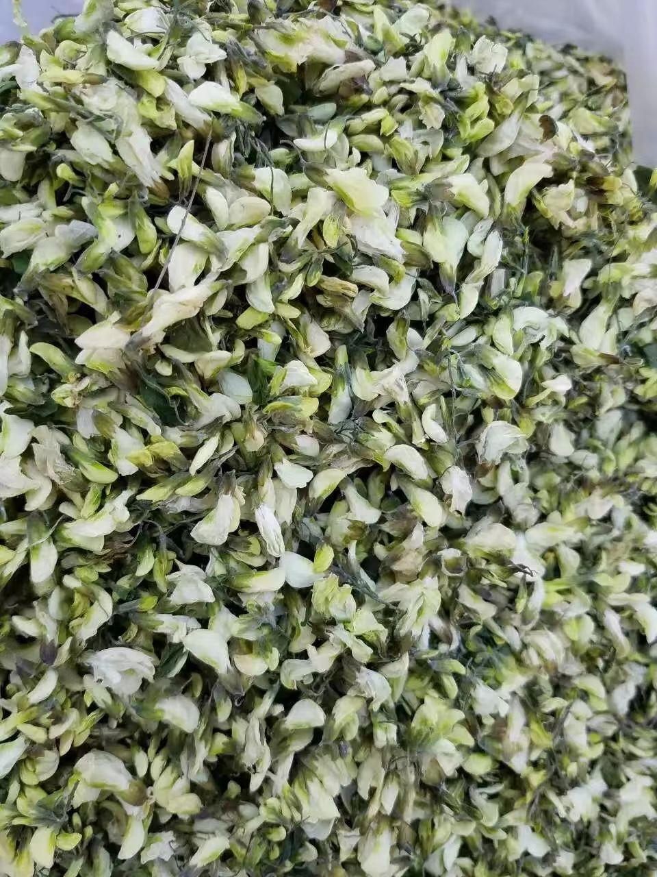 Fresh Dried Acacia FlowersDried Acacia Flowers for Cauliflower Secondary image