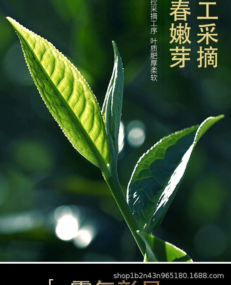 HelloYoung Yunnan Pu'er Tea Raw & Ripe King Banzhang 357g Cake Ancient Tree Cake Tea