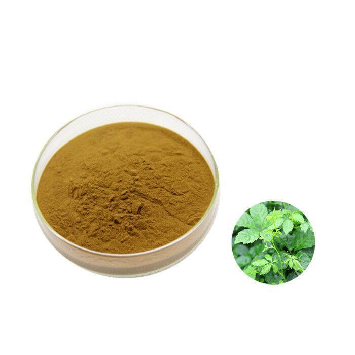 Gypenosides 98% 100g Organic Jiaogulan (Gynostemma) Extract Powder Main image