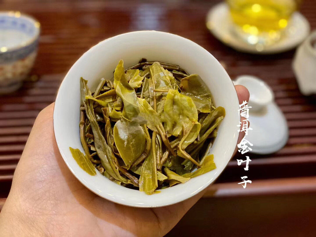 HelloYoung 500g Golden Leaf Pu-erh Raw Tea Menghai Big Tree Golden Leaf Tea