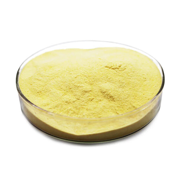 Natural Spray Dried Mango Juice Powder Mango Fruit Powder Fruit Flavor Powder