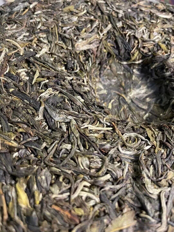 Yiwu Early Spring Golden Phoenix Tea Flower Fragrance Pu'er Tea Cake Tea 357g