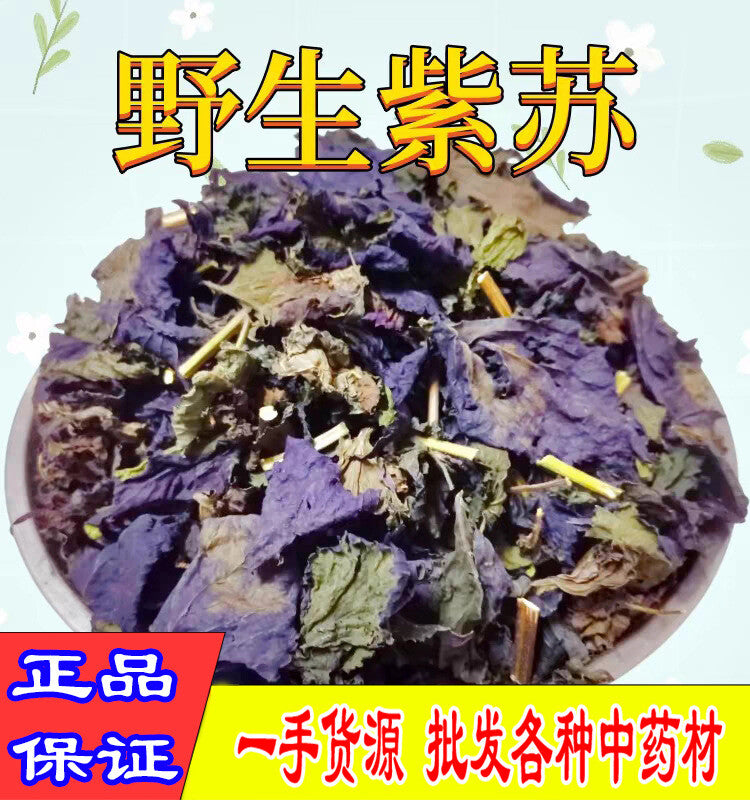 Wild Authentic Perilla Leaf Stalks Natural Freshsulfur-free Perilla Leaves