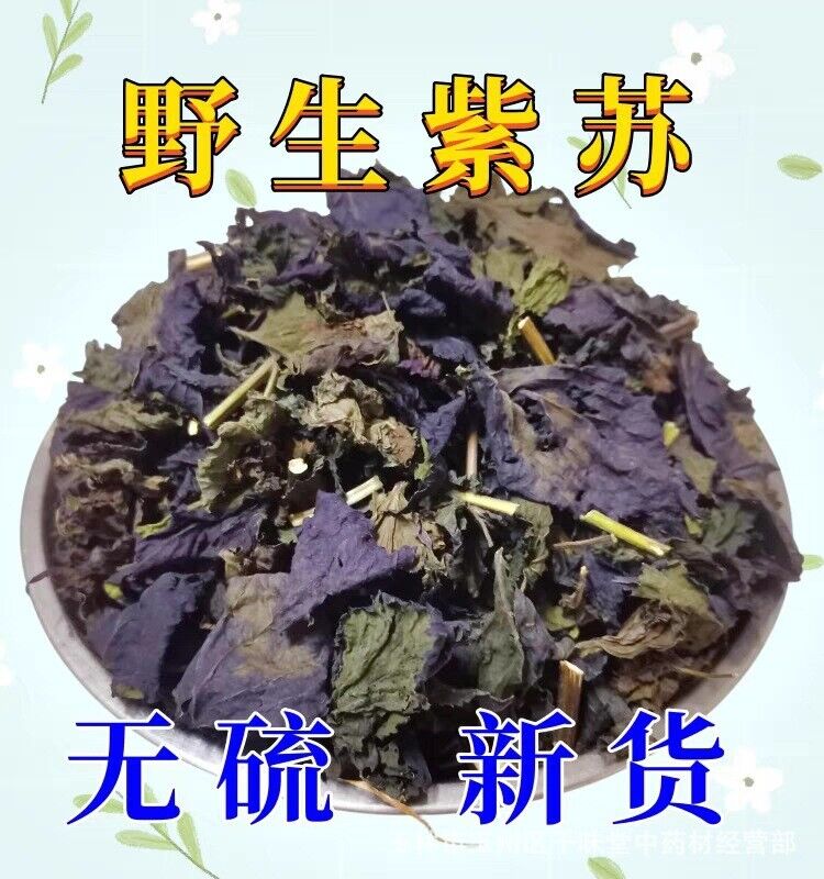 Wild Authentic Perilla Leaf Stalks Natural Freshsulfur-free Perilla Leaves