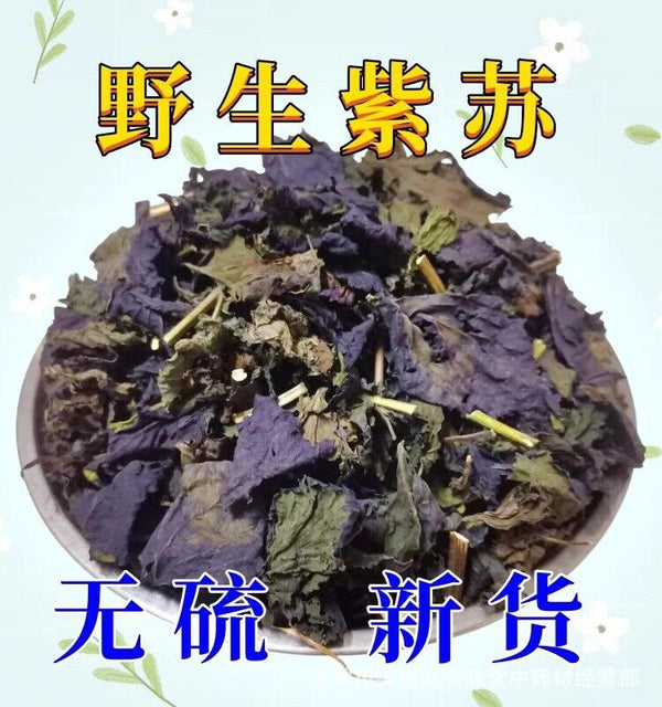 Wild Authentic Perilla Leaf Stalks Natural Freshsulfur-free Perilla Leaves