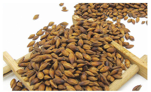 HelloYoung 500g Hot sale Wang He Tang barley tea quality roasted taste mellow