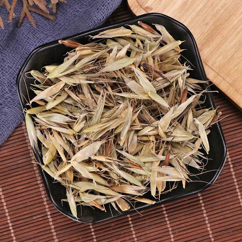 Premium Organic Herbal Avena Fatua Yan Mai Cao Great Quality