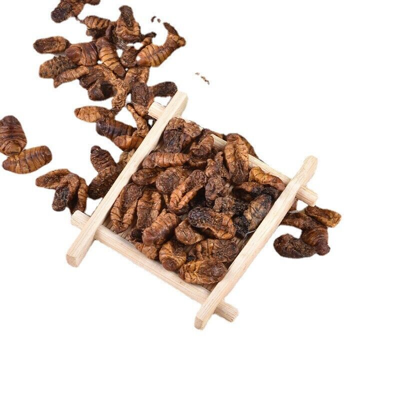 HelloYoung Dried Cicada Chrysalis Dried Silkworm Chrysalis Chinese Herbs 500g/1.1lb