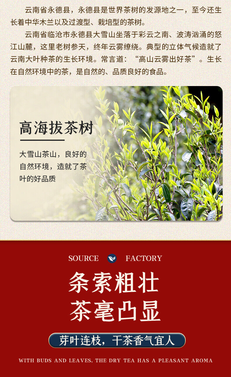 Pu'er Raw Tea Snow Mountain Tea Spring Tea Tea Cake Large Leaf Tea Raw Tea