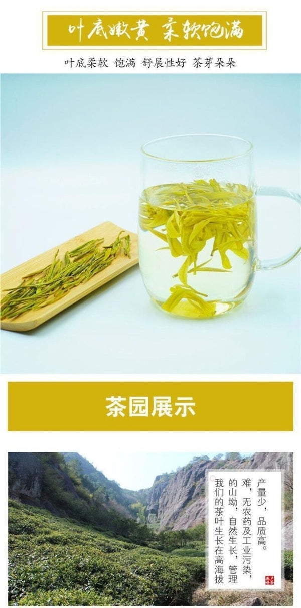 2025 Pre Qingming Anji White Tea High Mountain Green Bags Fresh Aroma