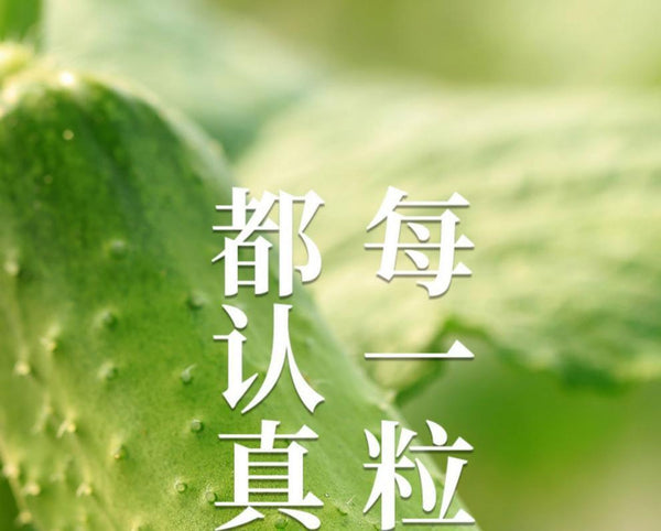 Without Additives Raw Cucumber Seeds 250g Pure Natural Cucumber Seed Powder