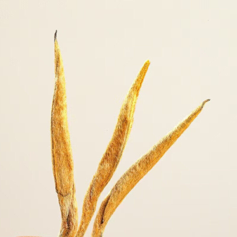 Yunnan Dianhong Premium Black Tea Honey Aroma Loose Leaf Ancient Tree Blend Secondary image