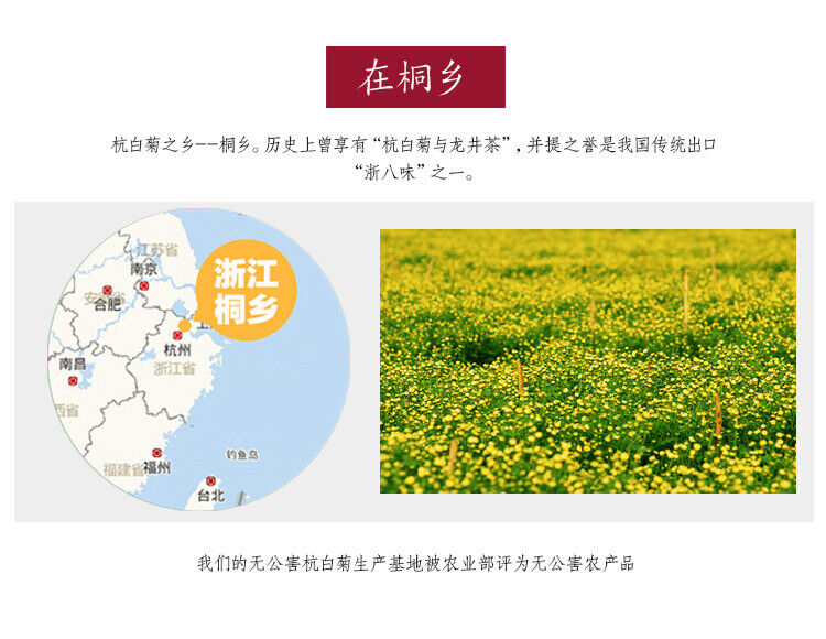 Special Grade Chrysanthemum Tea Hangzhou White Chrysanthemum Herbal Tea