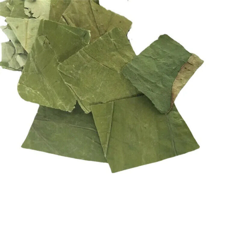 Slimming Tea Lotus Leaf Dried Herbal Tea Dried Healthy Natural Dried Flower Tea