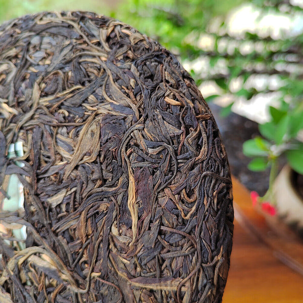 HelloYoung 357g Yunnan Old Raw Tea Pu'er Aged Gaoligongshan High Altitude Eco