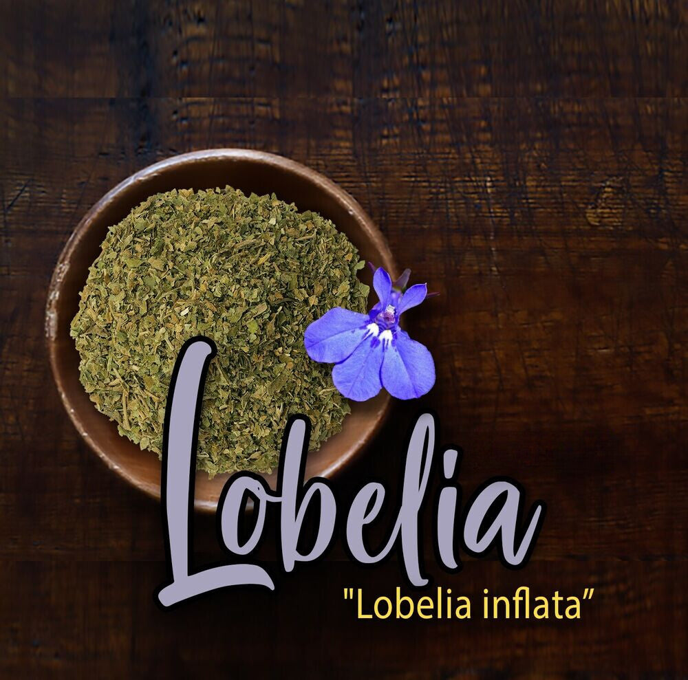 Lobelia Herb Dried Lobelia inflata 500g Apothecary Herbal Main image