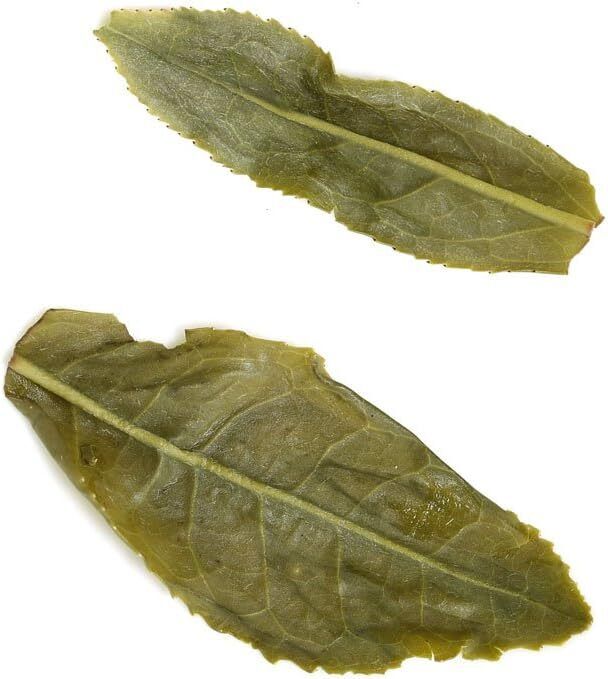 100g Anhui Spring Liuan Guapian Gua Pian Melon Slice Loose Leaf Green Tea Secondary image