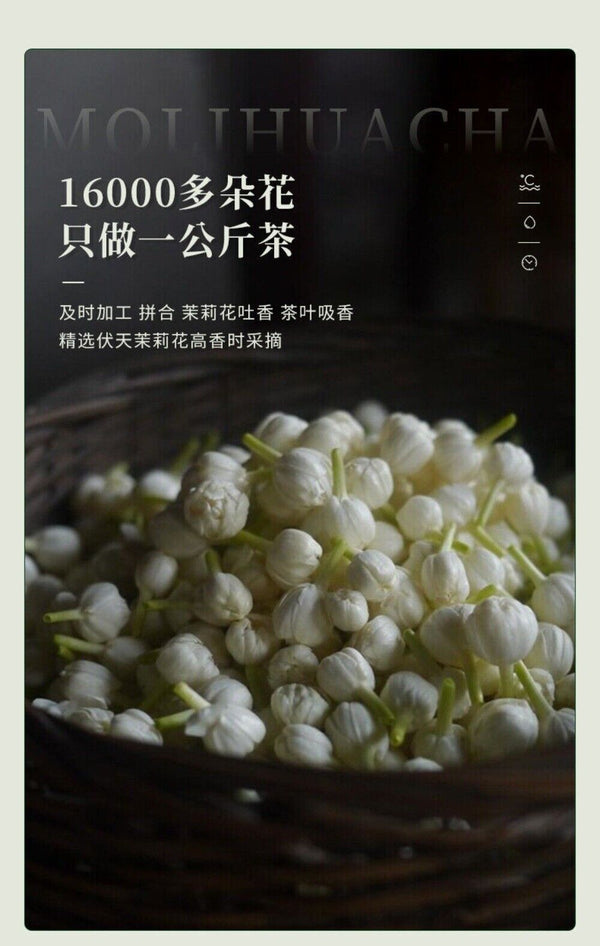 2025 Xinyang Maojian Jasmine Tea 250g Premium Loose Leaf Fragrant